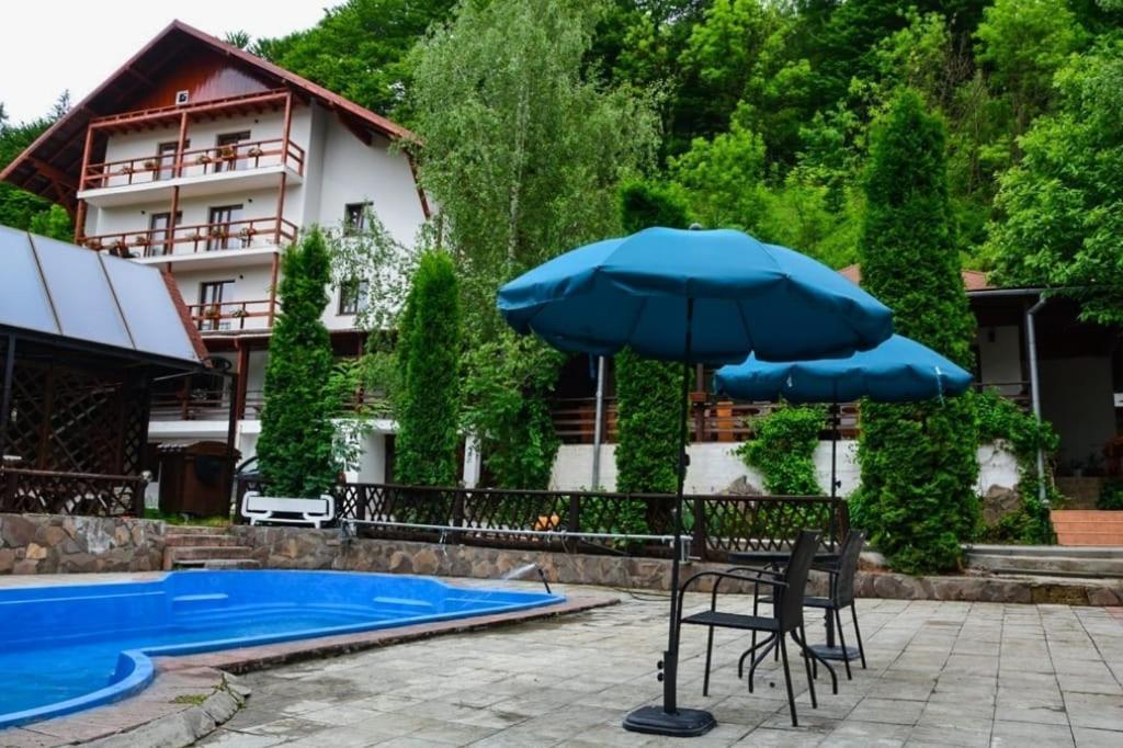 Hotel Vila Maria Bran à Simon Extérieur photo