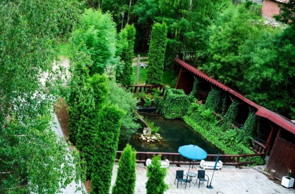 Hotel Vila Maria Bran à Simon Extérieur photo